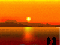 nature_04.gif